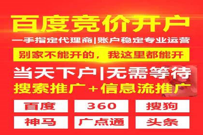 竞价广告的投放策略调整：基于数据反馈的实战案例